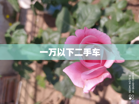 一万以下二手车