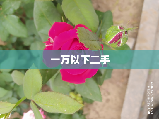 一万以下二手