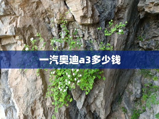 一汽奥迪a3多少钱