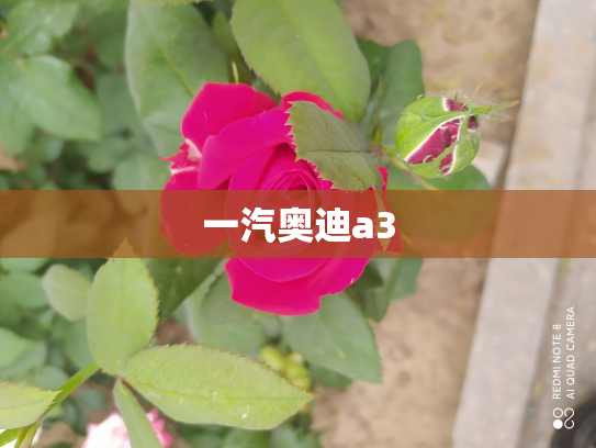 一汽奥迪a3