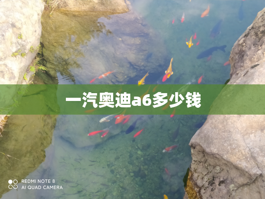 一汽奥迪a6多少钱