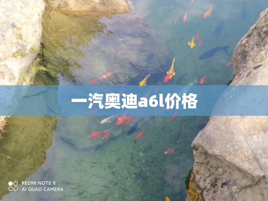 一汽奥迪a6l价格