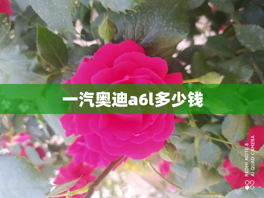 一汽奥迪a6l多少钱
