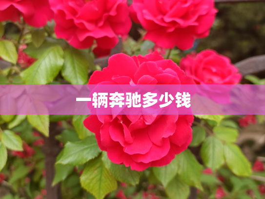 一辆奔驰多少钱
