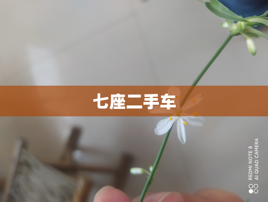 七座二手车