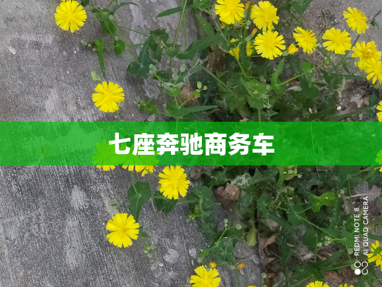 七座奔驰商务车