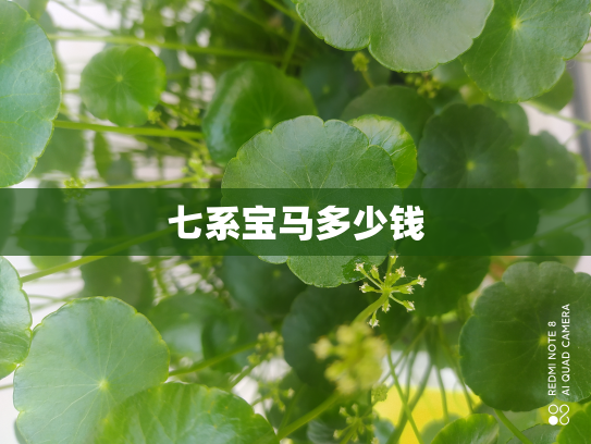七系宝马多少钱