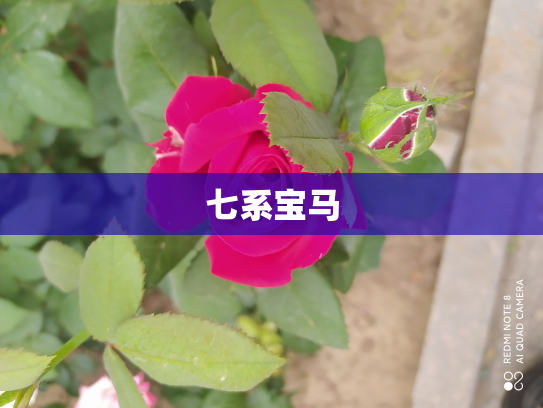 七系宝马