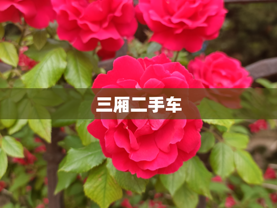 三厢二手车