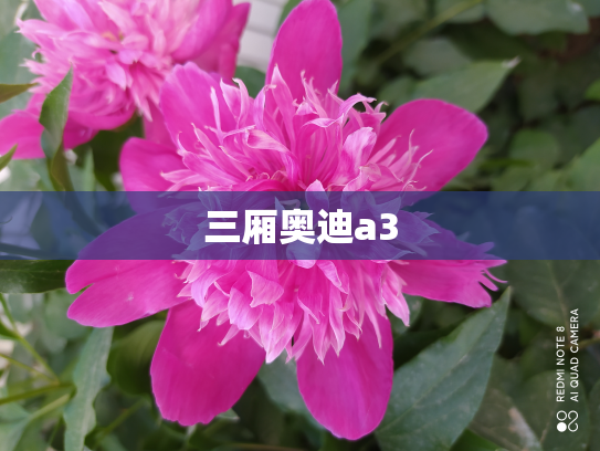 三厢奥迪a3