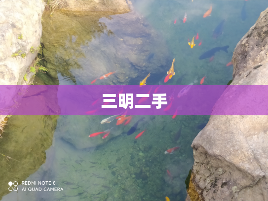 三明二手