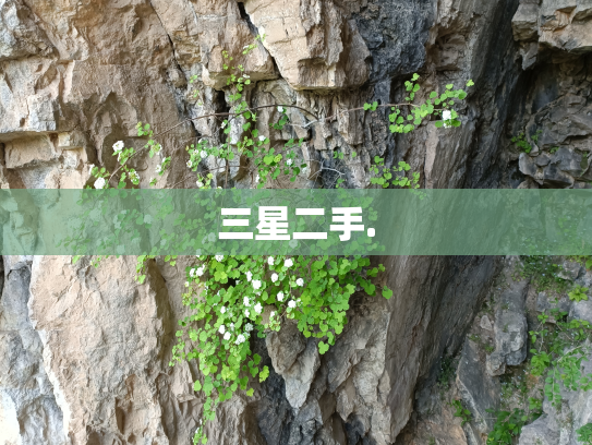 三星二手.