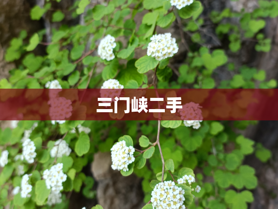 三门峡二手