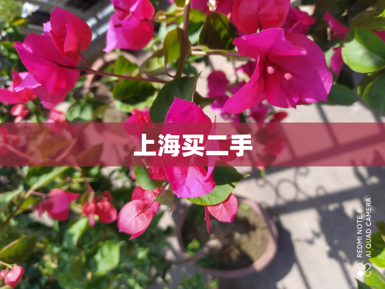 上海买二手