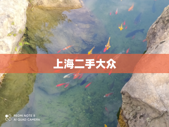 上海二手大众
