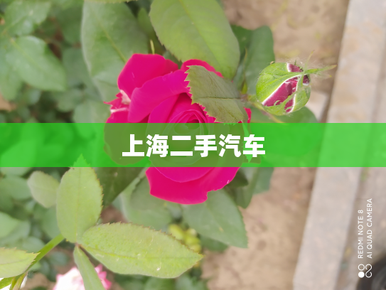 上海二手汽车