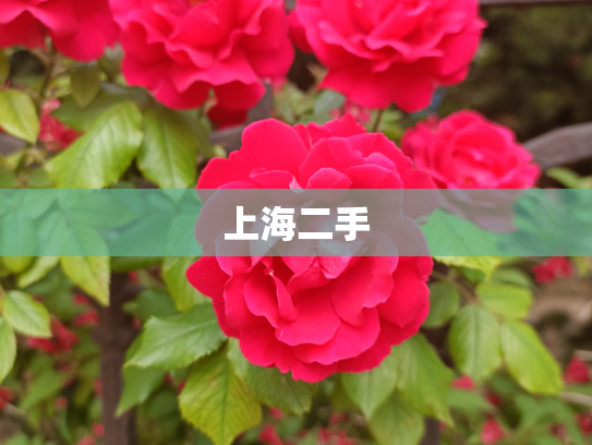 上海二手