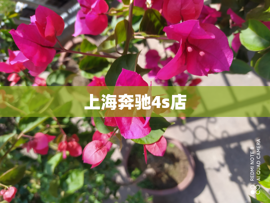 上海奔驰4s店