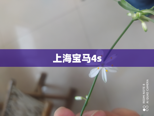 上海宝马4s