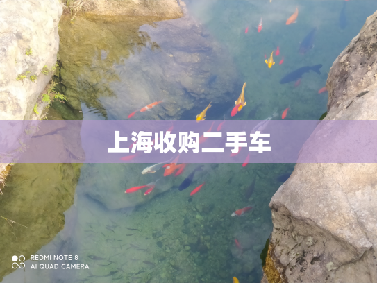 上海收购二手车