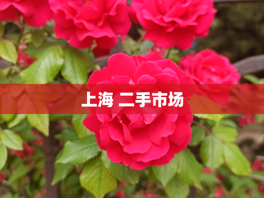 上海 二手市场