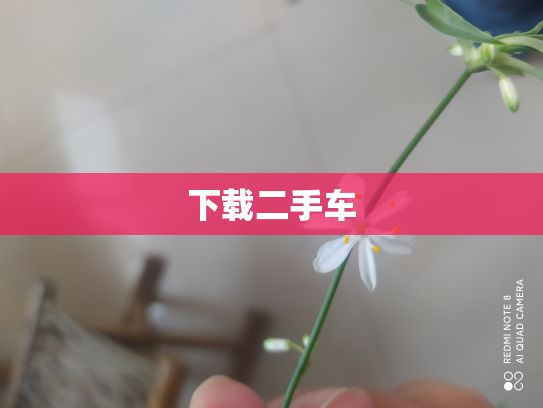 下载二手车
