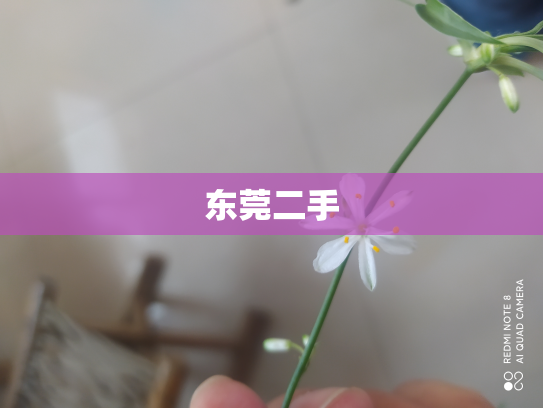 东莞二手