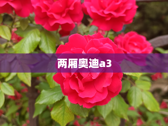 两厢奥迪a3