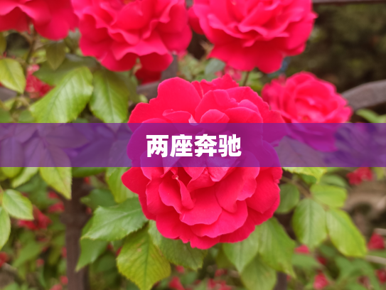 两座奔驰