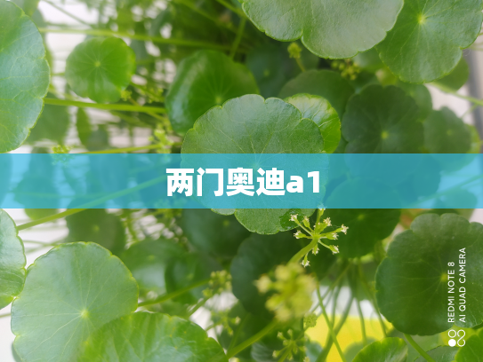 两门奥迪a1