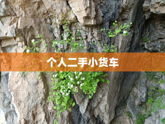个人二手小货车