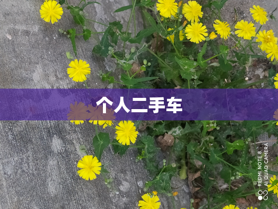 个人二手车