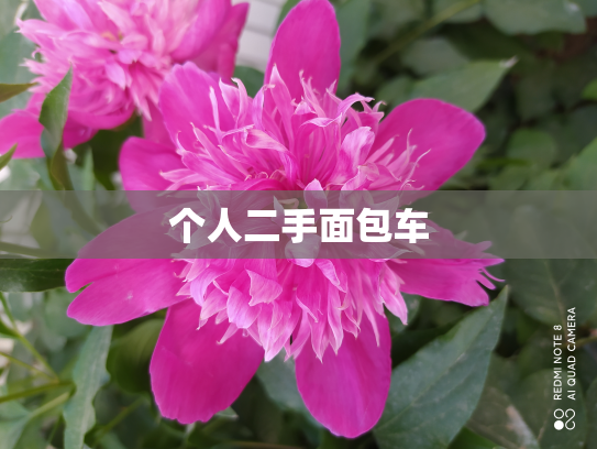 个人二手面包车