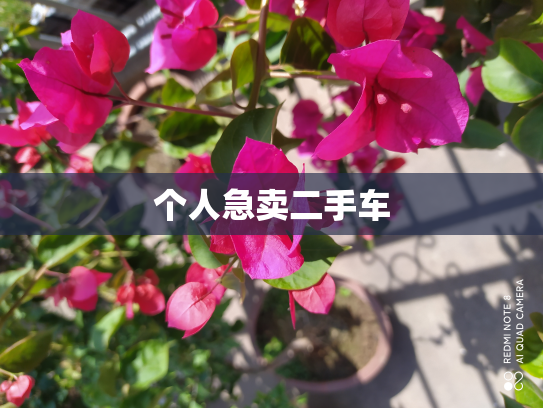 个人急卖二手车