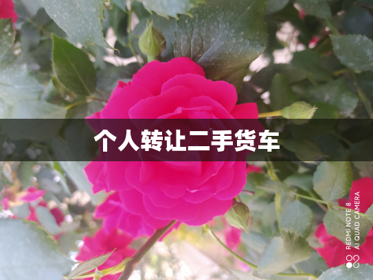 个人转让二手货车
