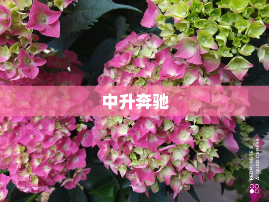 中升奔驰
