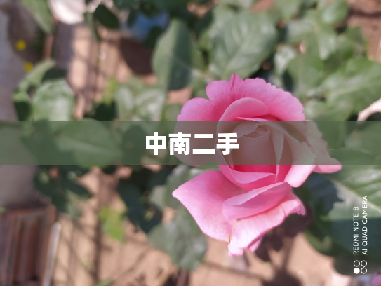 中南二手