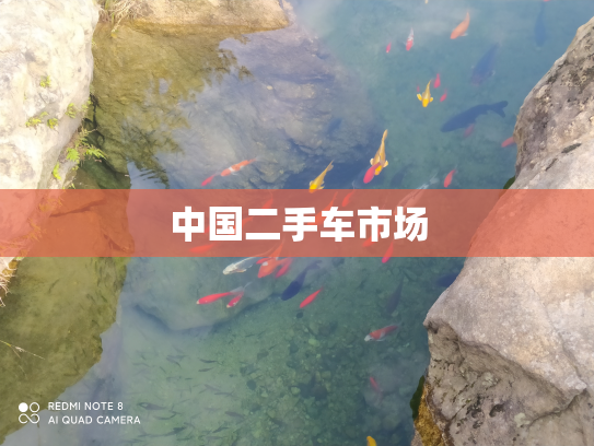 中国二手车市场