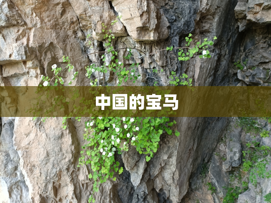 中国的宝马