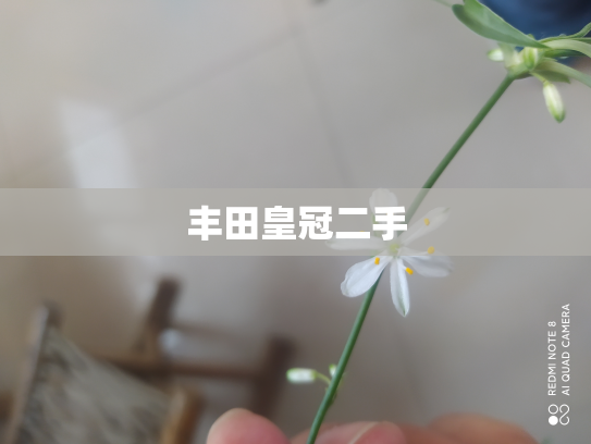 丰田皇冠二手