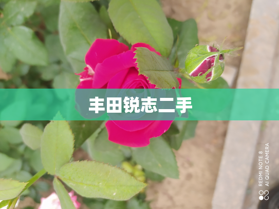 丰田锐志二手