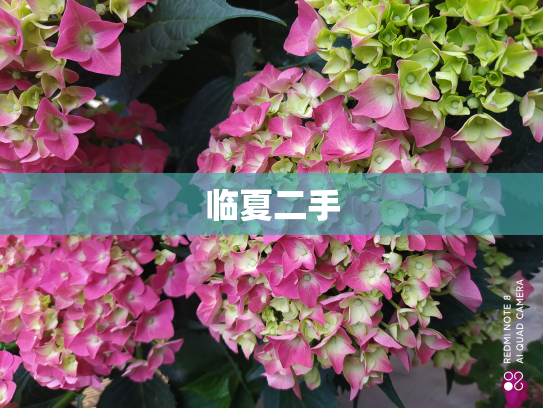 临夏二手