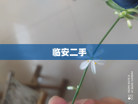临安二手