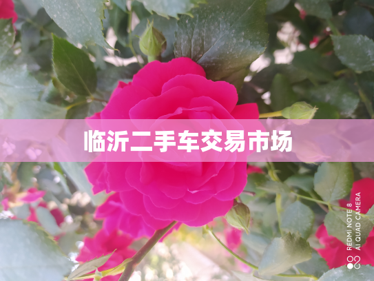 临沂二手车交易市场
