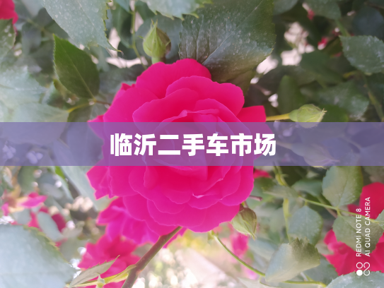 临沂二手车市场