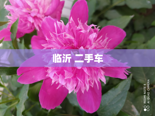 临沂 二手车