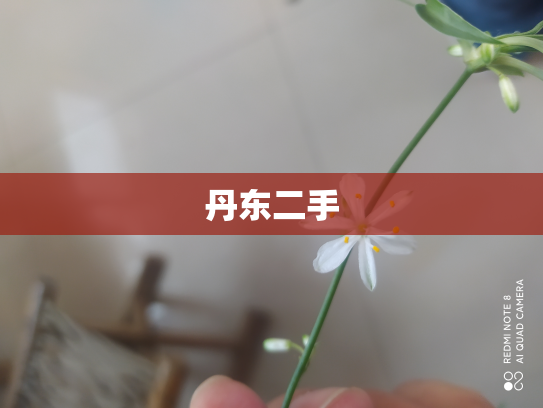 丹东二手