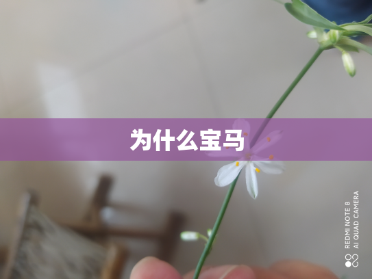 为什么宝马