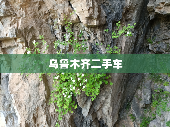 乌鲁木齐二手车