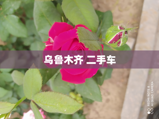 乌鲁木齐 二手车